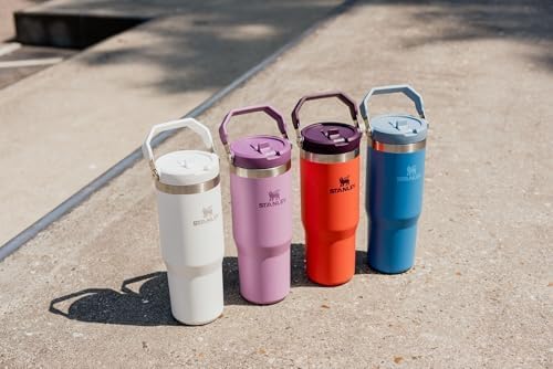 Stanley IceFlow Flip Straw Tumbler with Handle 30 oz | Twist On Lid and Flip Up Straw | Leak Resistant Water Bottle | Insulated Stainless Steel |BPA-Free | Tigerlily Plum