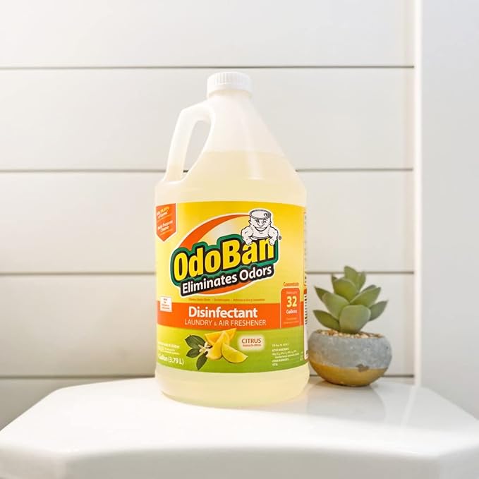 OdoBan Ready-to-Use Disinfectant and Odor Eliminator, Made in the USA, Citrus Scent, Set of 3, 2 Spray Bottles, 32 Ounces Each and 1 Gallon Concentrate