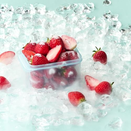 LocknLock Freezer Fit Plastic Freezer Containers | Airtight Stackable Food Storage for Meal Prep | Microwave & Dishwasher Safe | BPA Free Freezer Container with Lid, 450ml - size: 450ml