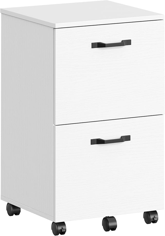 VASAGLE 2-Drawer File Cabinet, Small Rolling Filing Cabinet for Home Office, Printer Stand, for A4, Letter-Size Documents, 15.7 x 16.5 x 27.6 Inches, Snow White UOFC040W46