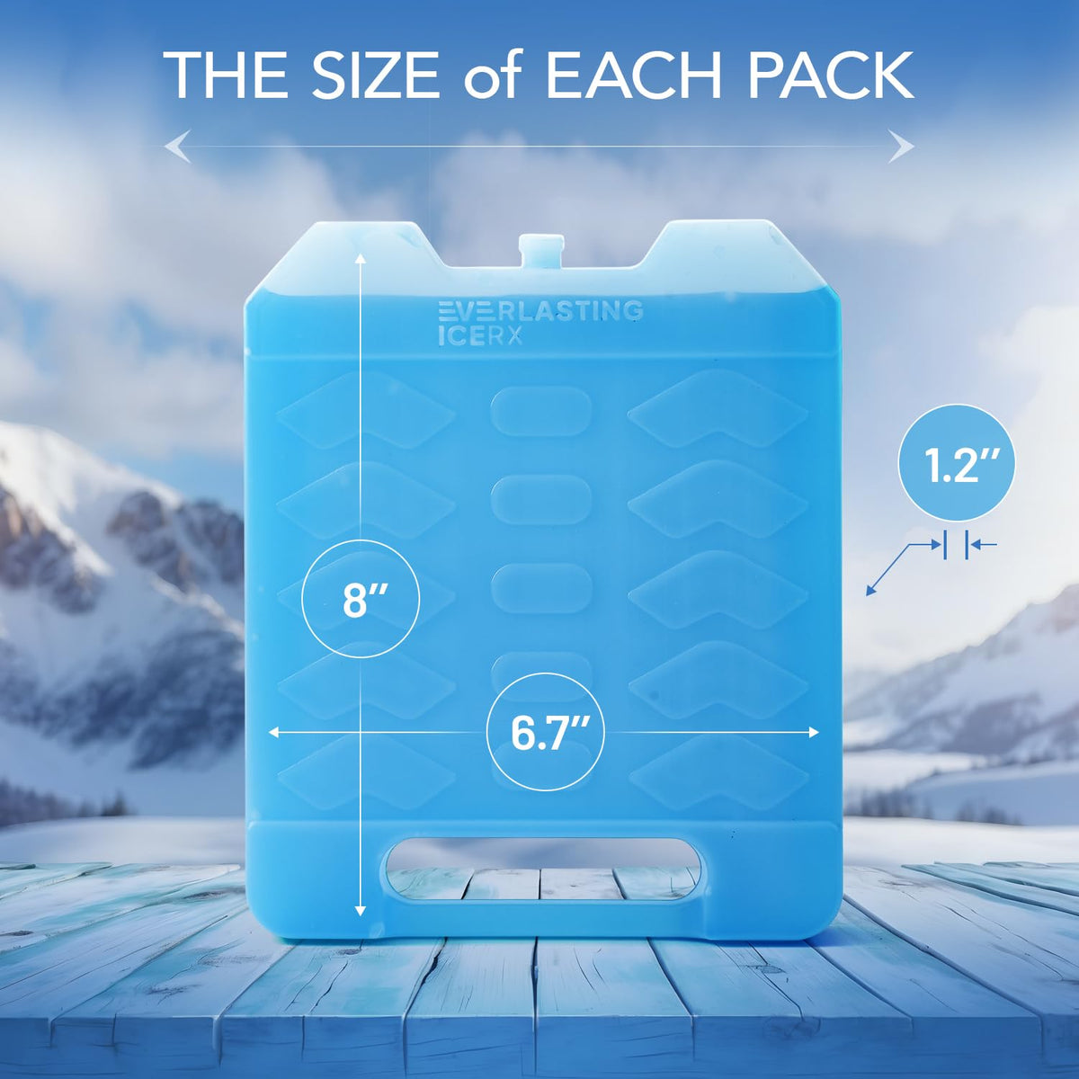 Large Reusable Ice Packs for Cooler with Handle (4 Pack) Long Lasting Coolness, BPA Free, Freezer Packs for Extended Cooling | Cooler Ice Packs for Camping, Fishing, Hiking, Beach