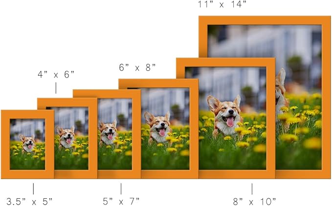 Renditions Gallery 6x8 inch Picture Frame High-end Modern Style, Made of Solid Wood and High Definition Glass Ready for Wall and Tabletop Photo Display, Orange Frame
