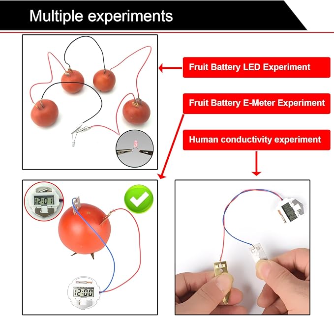EUDAX Fruit Battery Science Experiment Kit with Electronic Clock and RGB LED for DIY Home Teaching Equipment, School Science Project, Education Subject