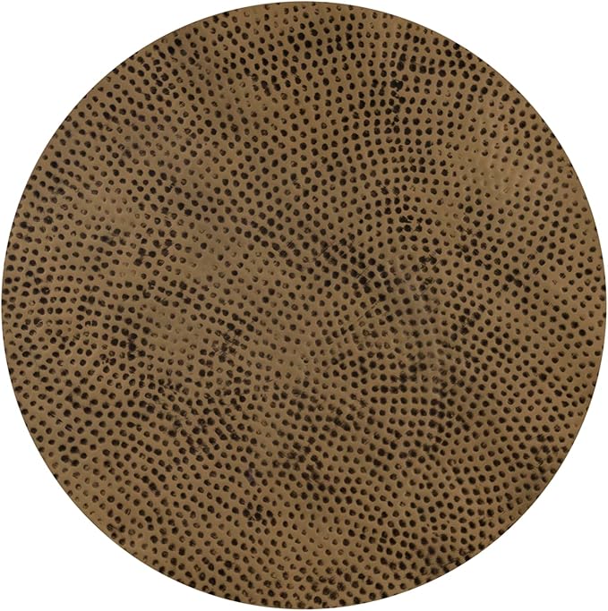 Albany Living Modern Round Aluminum Hammered Embossed Texturing, Metal Drum Coffee Table with Removable Lid for Storage,Fully Assembled, for The Living Room and Bedroom, Brass