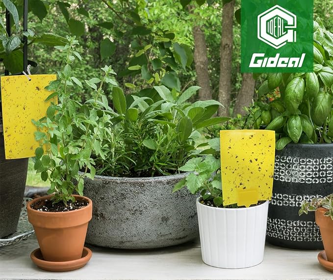 Gideal 30-Pack Dual-Sided Yellow Sticky Traps for Indoor Outdoor Flying Plant Insect Fungus Gnats, Whiteflies, Aphids, Leafminers,Thrips (6x8 Inches, Included 30pcs Twist Ties)