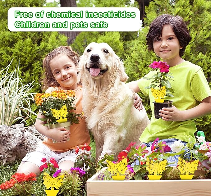 40 Pack Fungus Gnat Traps for House Indoor, Fungus Traps Fruit Fly Traps for Indoors Gnats Sticky Traps for Plants Yellow Sticky Traps for Gnats