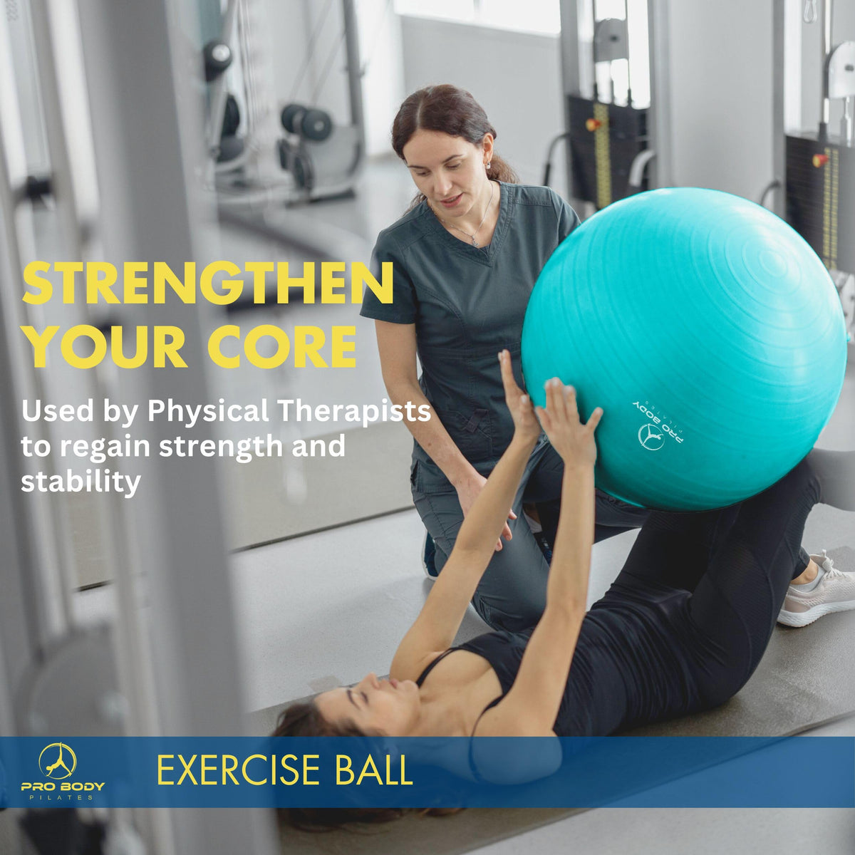 ProBody Pilates Exercise Ball - Multiple Sizes Gym Grade Balance Ball for Fitness, Yoga, Workout, Pregnancy & Physical Therapy (Silver, 85 cm)