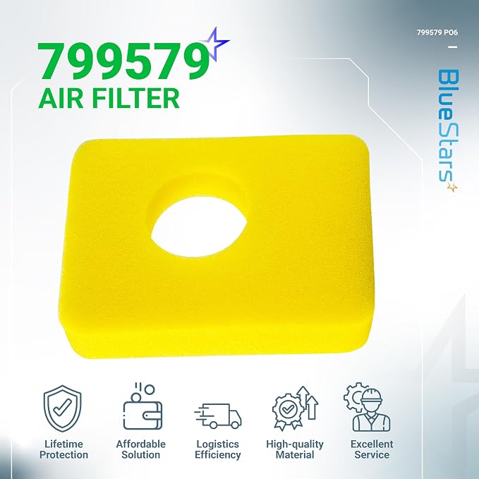 BlueStars 6 Pcs 799579 Air Cleaner Foam Filter