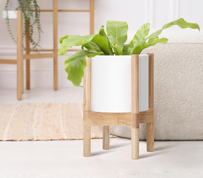 D'vine Dev Planter Pot with Stand - 8 Inch Plastic Cylinder Flower Pot with Wood Planter Holder for Indoor, Matte White Pot + Natural Stand, 55-C-J-1