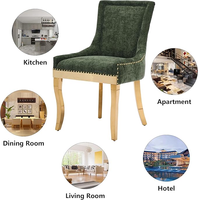 Luxury Fabirc Upholstered Dining Chairs Set of 2,Neutral Chenille Kitchen Room Chair with Nailhead Trim,Modern Padded Side Chairs for Dining Room,Living Room (Olive Green-Gold, Set of 2)