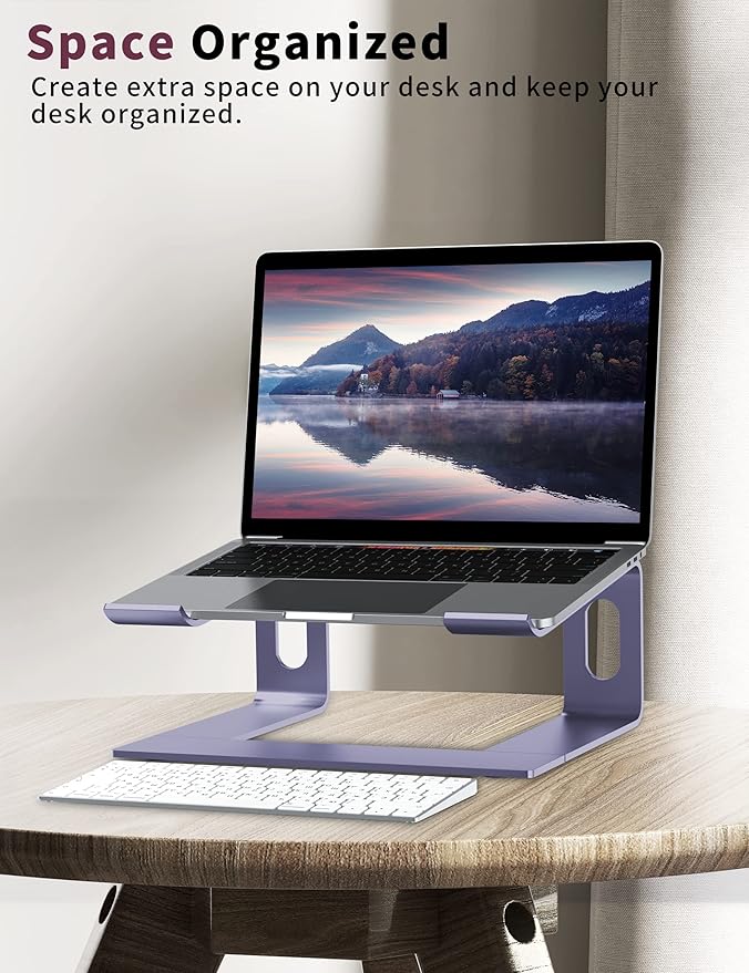 ALASHI Laptop Stand for Desk, Aluminum Computer Riser, Ergonomic Notebook Holder, Detachable Metal Laptops Elevator, PC Cooling Mount Support 10 to 15.6 Inches Notebook, Light Purple