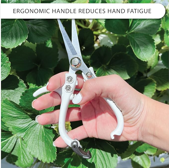 Loopseed Precision Garden Trimming Scissors & Hand Pruner - White