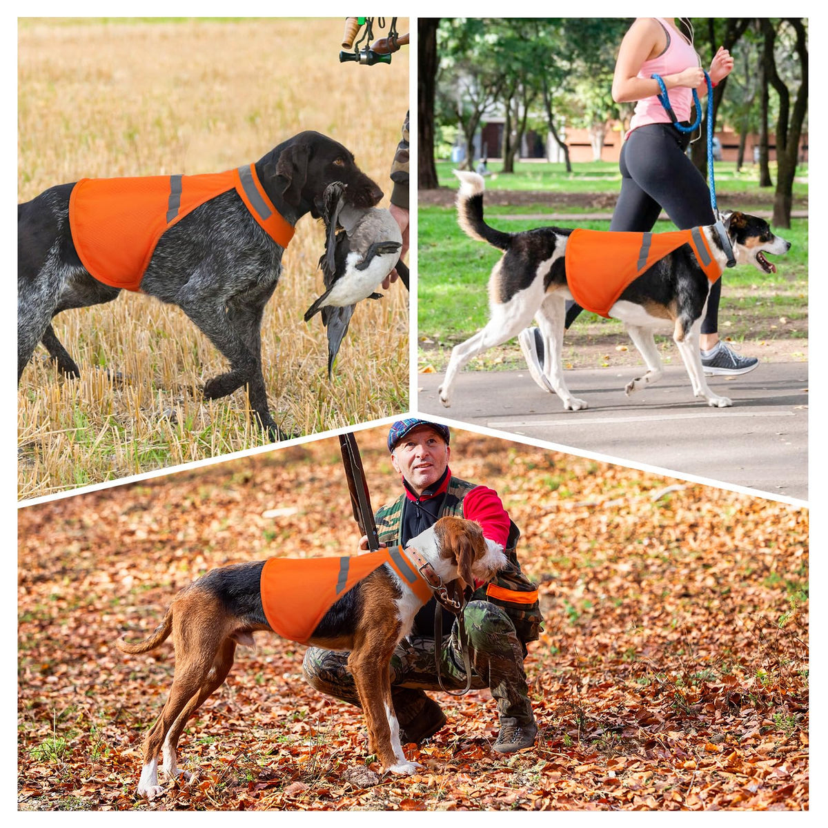 Dog Jacket High Visibility Safety Reflective Dog Vest for Small Medium Large Dogs (Large, Orange)