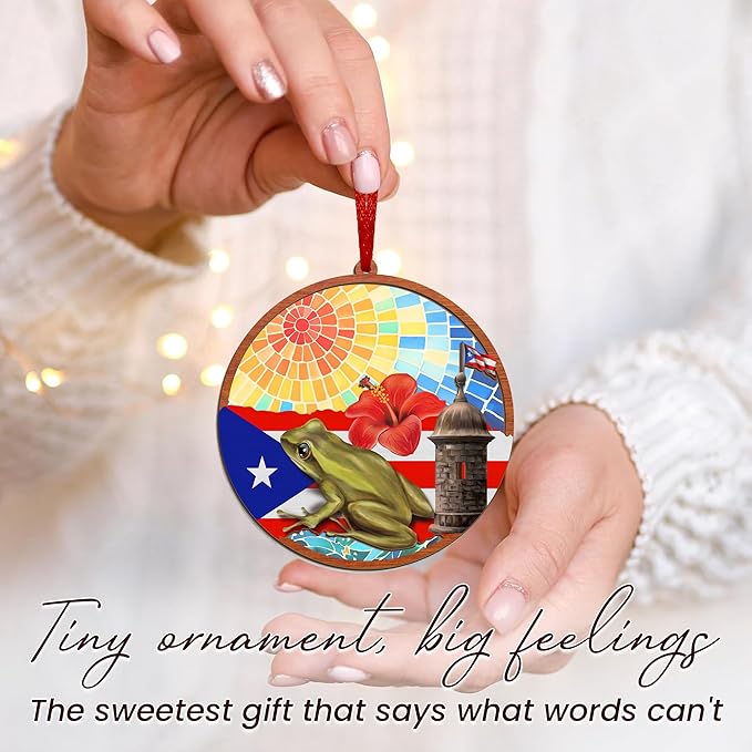 FLAGWIX Christmas Puerto Rico Gifts for Women Men - Coqui Frog Suncatcher Ornaments for Tree Decorations - Puerto Rico Christmas Ornament 2025, House Warming Gifts for Mom Dad, Friend Gift Ideas