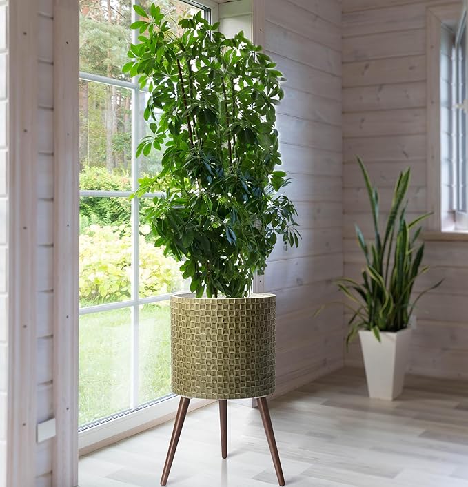 D'vine Dev 16 Inch Modern Geometric Tile Patterned Sleek Planter Pot with Stand, Indoor Outdoor Decorative Plant Holder, Distressed Olive, 88-Z-E-4