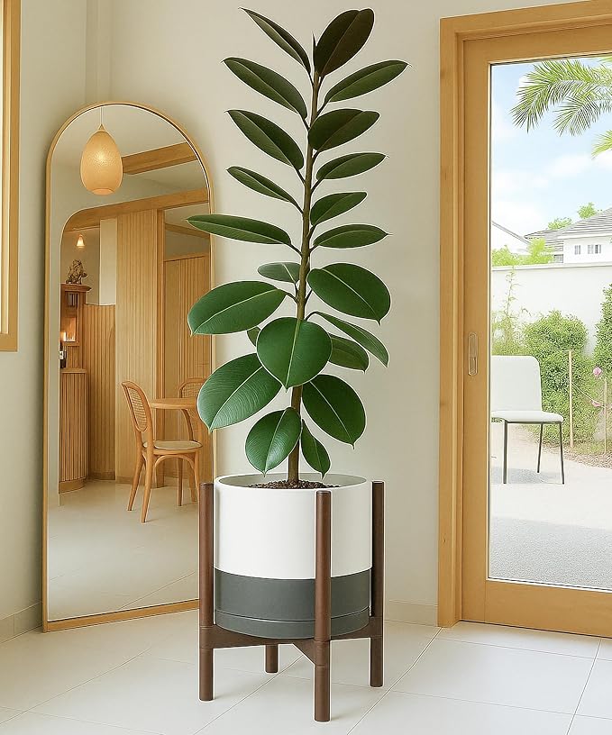 D'vine Dev Ceramic Planter with Walnut Color Stand - 12 Inch Modern Round Flower Pot with Wood Planter Holder, White/Grey, 55-B-W-6