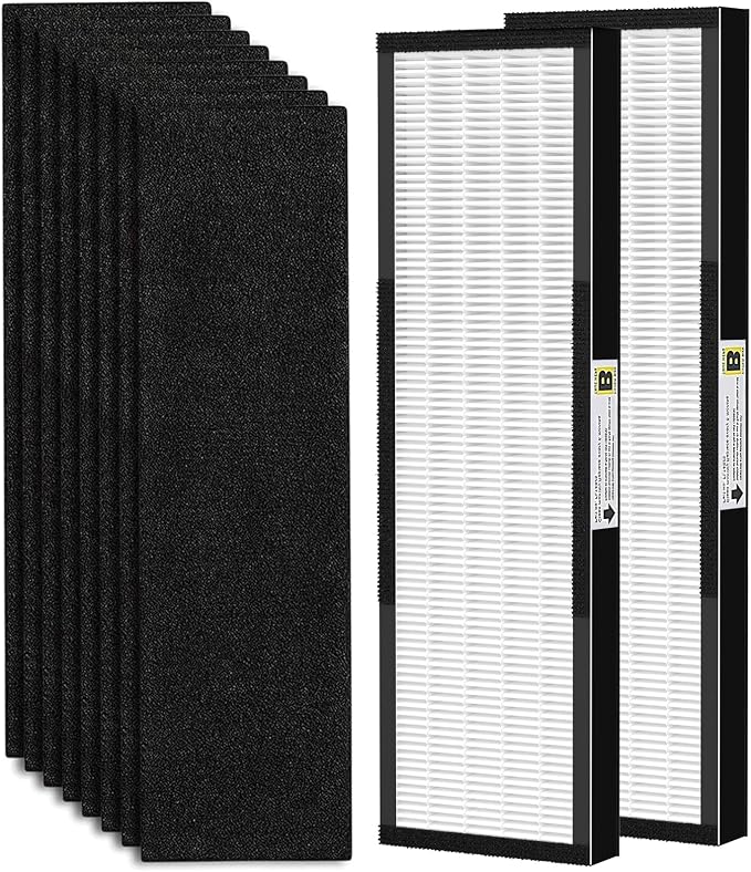 2 Pack FLT4825 True HEPA Fil-ter B Replacement