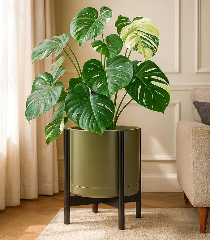 D'vine Dev Ceramic Planter with Ebony Stand - 14 Inch Modern Round Flower Pot with Wood Planter Holder, Olive, 55-B-S-J