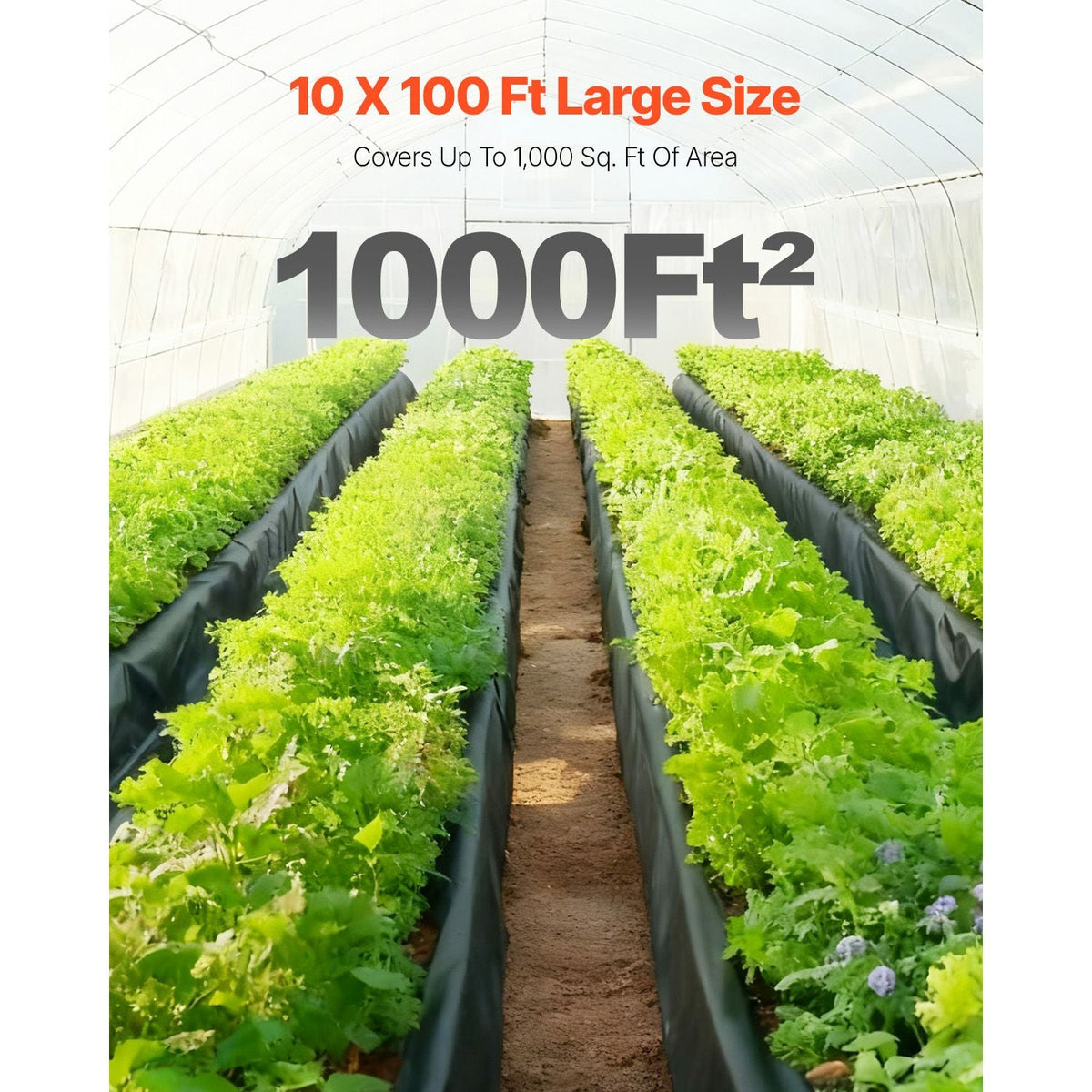 10 Mil Plastic Sheeting Heavy Duty 10' x 100', Thick Plastic Sheeting Roll, Plastic Drop Cloth Painters Tarp, Polyethylene Covering for Crawl Space Vapor Barrier, Multi-Purpose, Black