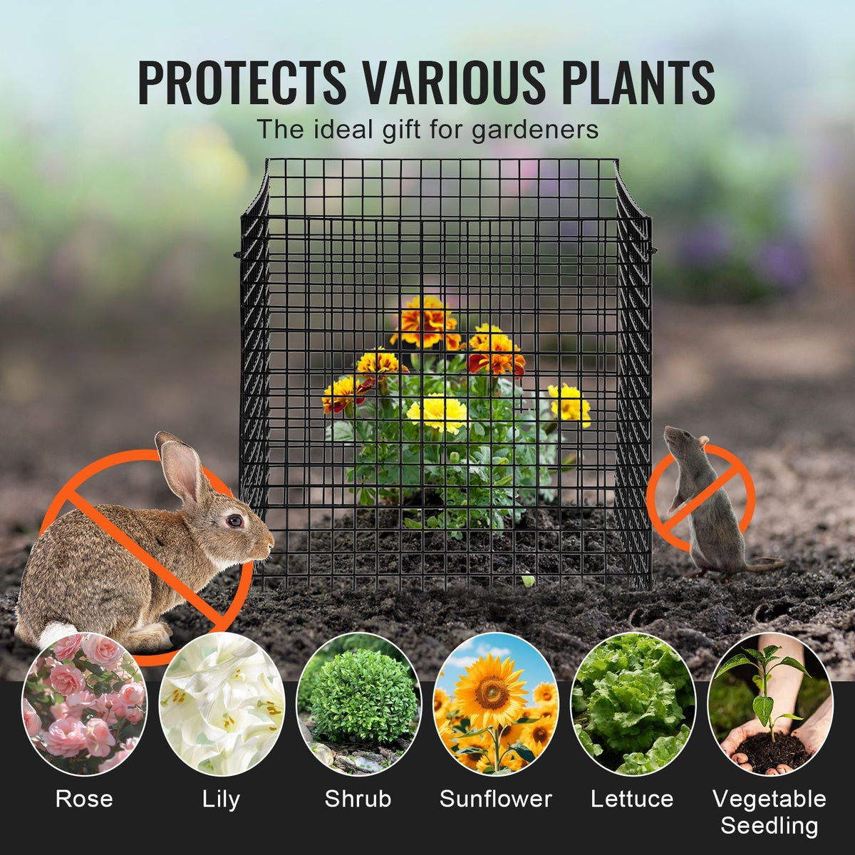 10 Pack Plant Protector from Animals, 12'' x 12'' Chicken Wire Plant Protector, Plant Cages for Outdoor Plants, Flowers & Vegetables, Keeps Bunny Chicken Squirrels Out, 40pcs Metal Mesh