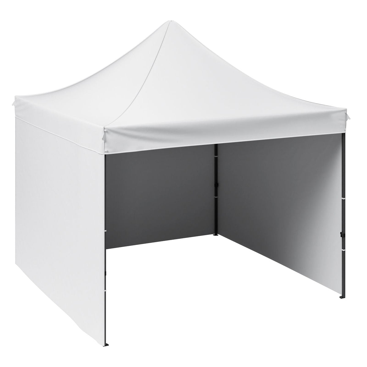 10x10 FT Pop up Canopy with Removable Sidewalls, Instant Canopies Portable Gazebo & Wheeled Bag, UV Resistant Waterproof, Enclosed Canopy Tent for Outdoor Events, Patio, Backyard, Party, Camping