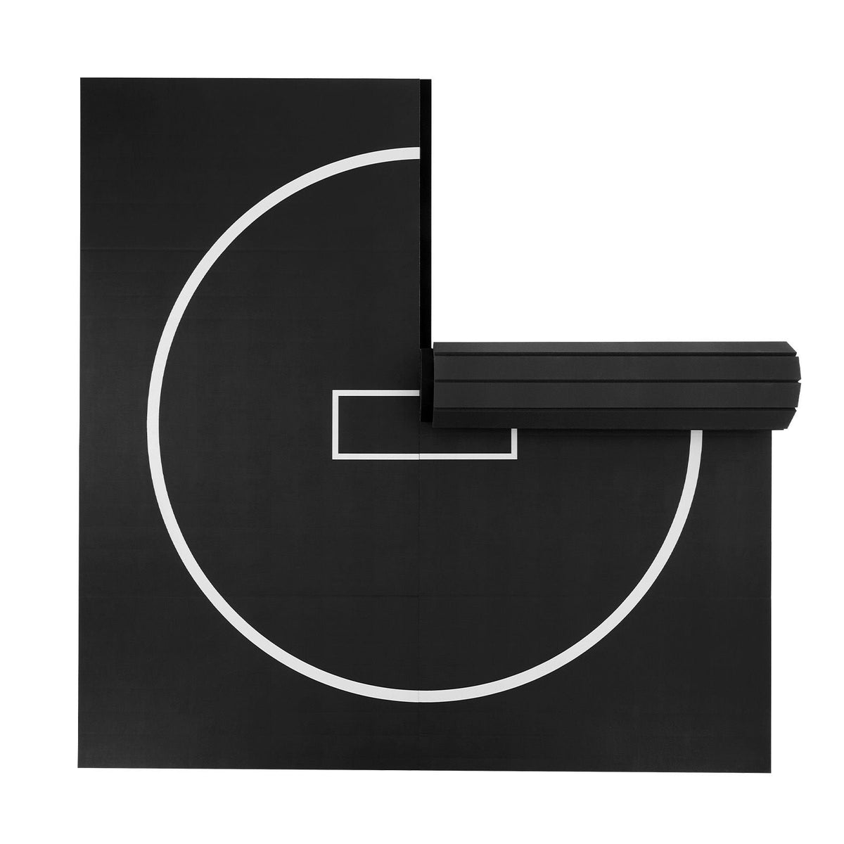 10x10 ft Wrestling Mat, Martial Arts Thick Mat for Home Gym Workouts Exercise, Waterproof PVC Roll-Up Training Mats with Circles, for Gymnastics, Tatami, Jiu Jitsu BJJ MMA Judo, Boxing, Black