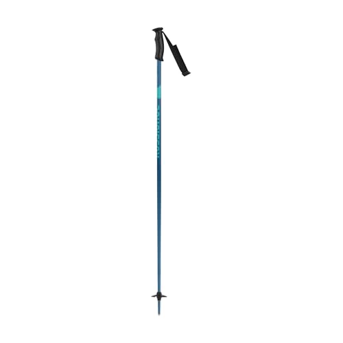 Rossignol Electra Alpine Ski Poles - Downhill Ski Poles for Women - Black
