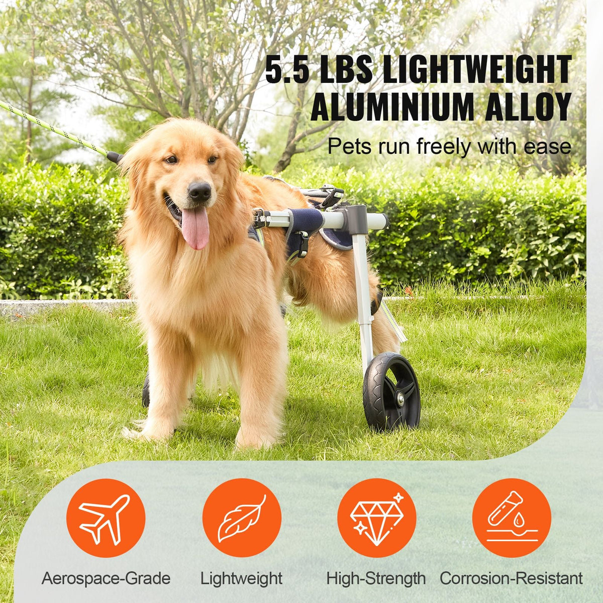 2 Wheels Dog Wheelchair for Back Legs, Pet Wheelchair Lightweight & Adjustable Assisting in Healing, Dog Cart/Wheelchair for Injured, Disabled, Paralysis, Hind Limb Weak Pet(M)