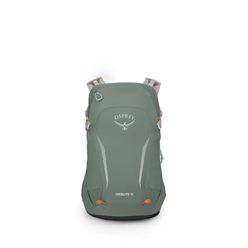 Osprey Hikelite 18L Lightweight Hiking Backpack - Durable Travel Daypack with Rain Cover for Men and Women, Pine Leaf Green
