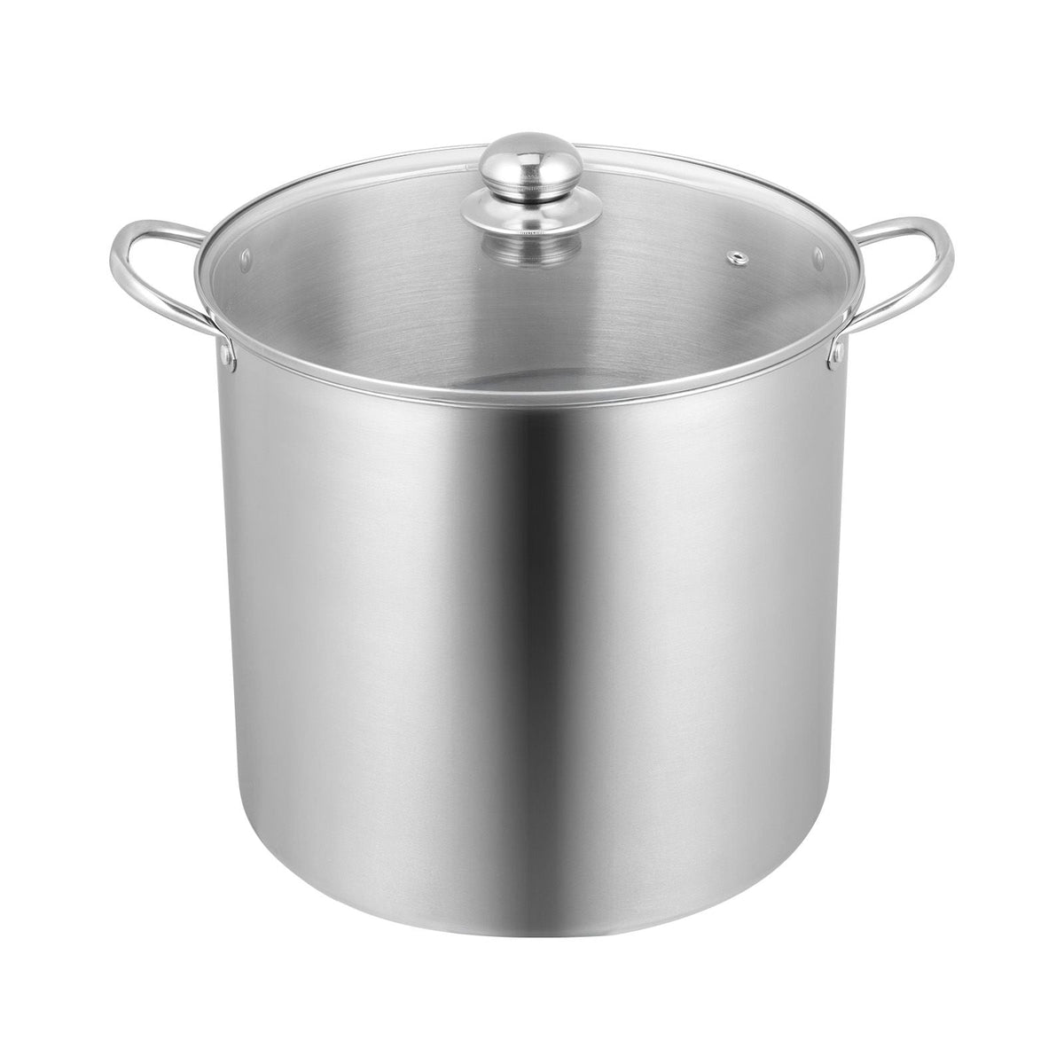 21 QT Canning Pot with Rack and Lid, Stainless Steel Waterbath Canner with Dual Handle and Glass Lid, Compatible with All Cooktops: Induction, Gas, Electric, Glass, Ceramic, Halogen