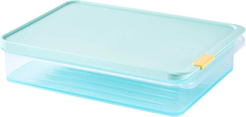 LocknLock Freezer Fit Plastic Freezer Containers | Airtight Stackable Food Storage for Meal Prep | Microwave & Dishwasher Safe | BPA Free Freezer Container with Lid, 2.2L - size: 2200ml