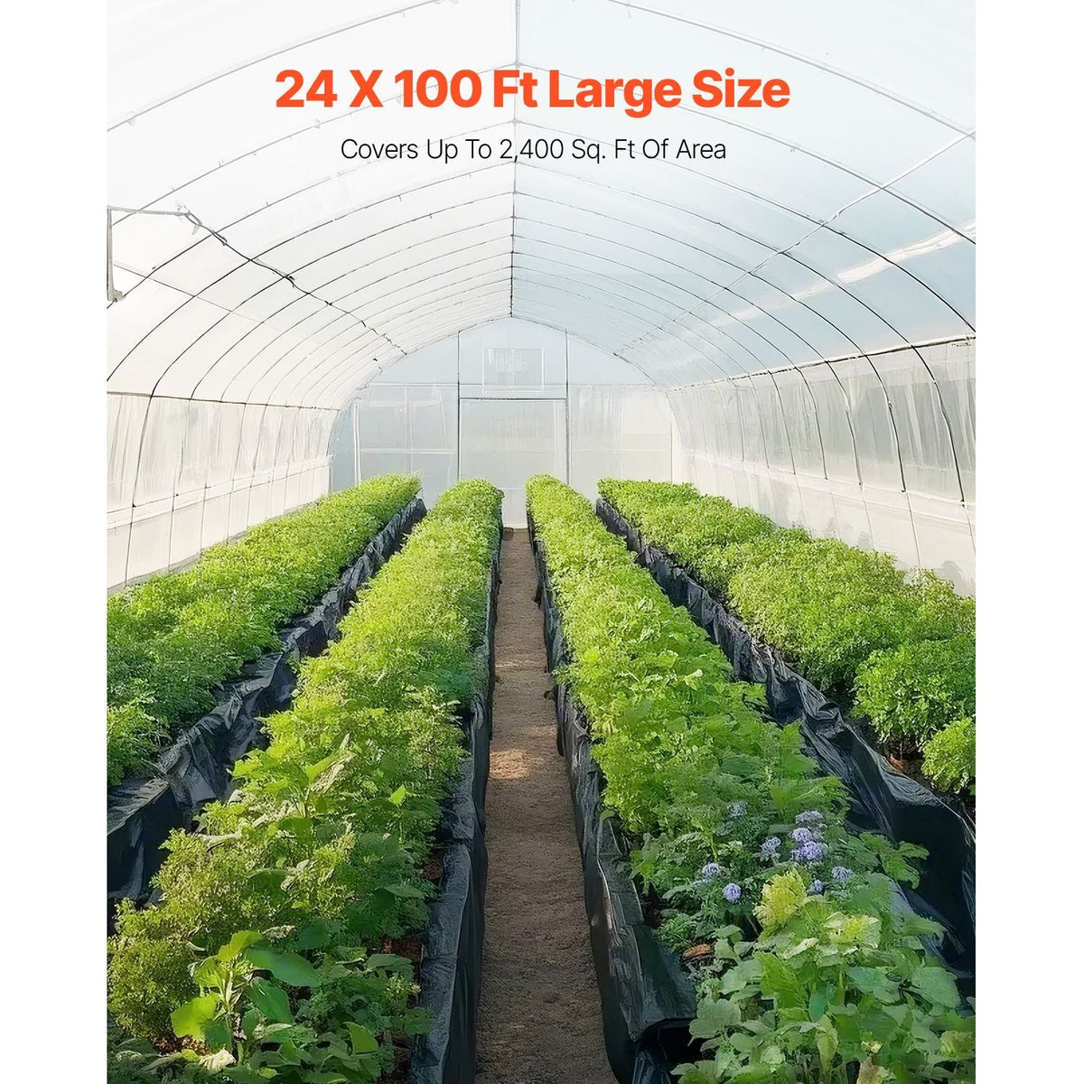 24' x 100' Plastic Sheeting Heavy Duty , 6 Mil Thick Plastic Sheeting Roll, Plastic Drop Cloth Painters Tarp, Polyethylene Covering for Crawl Space Vapor Barrier, Multi-Purpose, Black