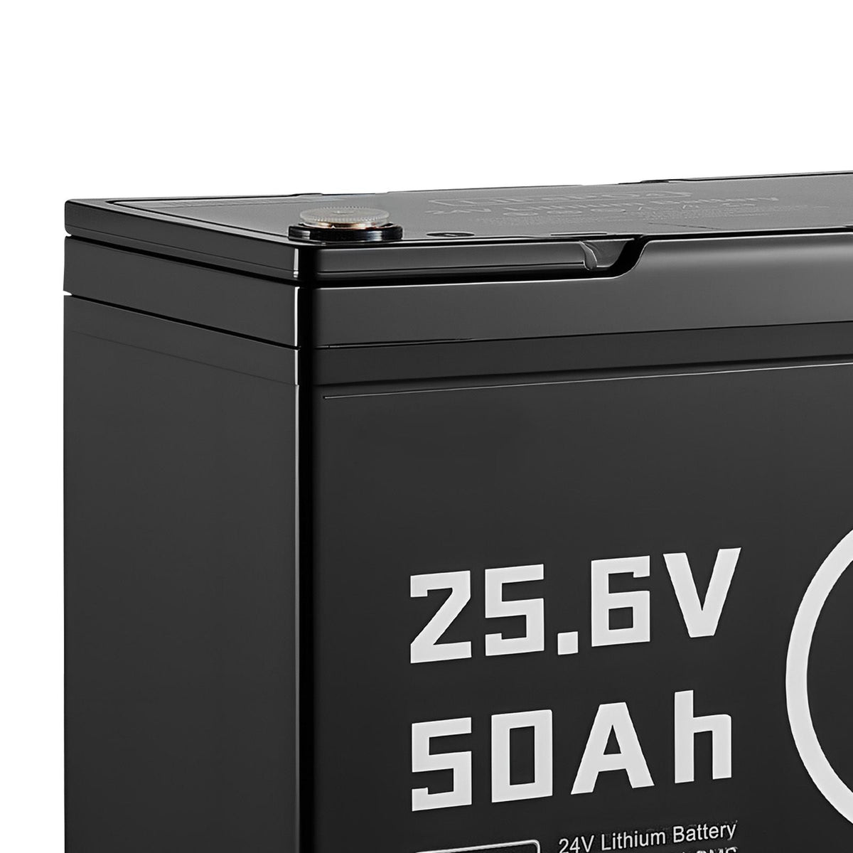24V 50Ah LiFePO4 Lithium Battery, Bluetooth, Deep Cycle Lithium Rechargeable Battery, Built-in 30A BMS, Low Temp Protection, 4000+ Cycles, Max. 1280Wh, for RV, Camper, Trolling Motors, Marine