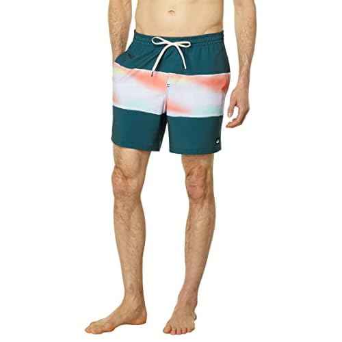 Quiksilver Men's Standard Surfsilk Air-Brush 17 Volley Swim Trunk Boardshort