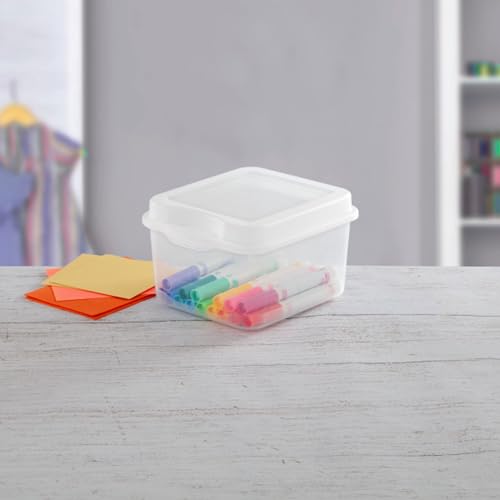 Sterilite 18038612 Small Flip Top Storage Box (24) - size: 1.5 Cubic Feet, style: 24 Pack