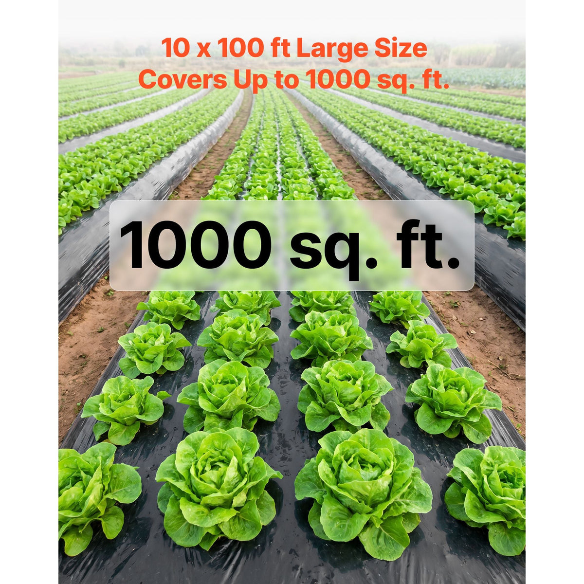 4 Mil Plastic Sheeting 10' x 100' Black Heavy Duty Polyethylene Roll, Thick Plastic Roll for Garden, Drop Cloth Painters Tarp, Polyethylene Covering for Crawl Space Vapor Barrier, Weed Control