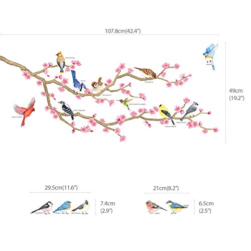 DECOWALL WL2-2009 Garden Birds and Cherry Blossom Wall Stickers Wall Decals Peel and Stick Removable Wall Stickers for Kids Nursery Bedroom Living Room d?cor