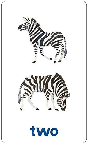 Chronicle Books World of Eric Carle (TM) Numbers & Counting Flash Cards: (Learning To Count Cards, Math Flash Cards for Kids, Eric Carle)