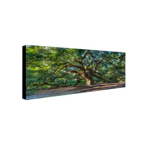 Trademark Fine Art Angel Oak Charleston by Pierre Leclerc work, 24 by 47-Inch Canvas Wall Art, green