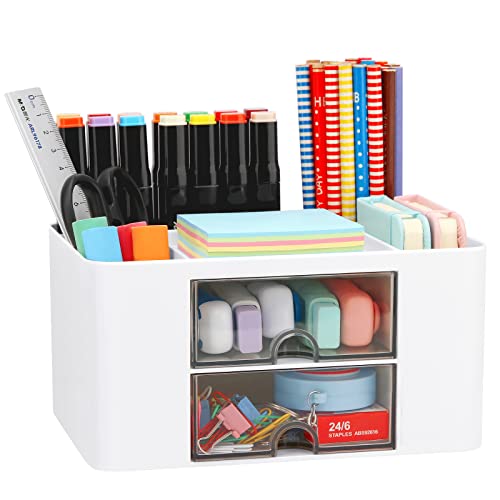 Desk Organizer with 2 Drawer, Plastic Desktop Pen Pencil Card Holder Storage Box for Desk, Office Supplies, Vanity Table Office School Home (White) - color: White