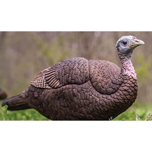 Primos Hunting Lil Gobstopper Hen and Jake Combo Decoy Light-Weight, Collapsible Hunting Decoy 69075
