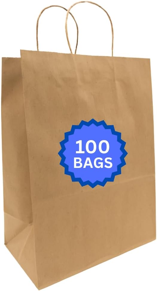 ASSUREPAK Kraft DIY Paper Bags, 12" x 9" x 16", 110 GSM, 100 Count