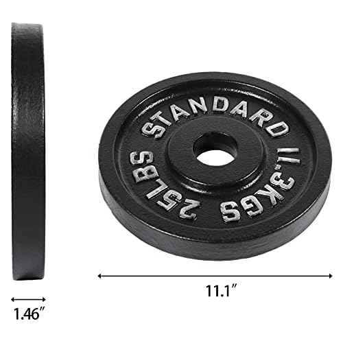 Fitvids Cast Iron Plate Weight Plate for Strength Training and Weightlifting, 2-Inch Center (Olympic), 25LB (Set of 2)