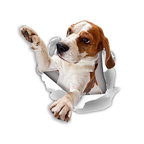 Winston & Bear 3D Reaching Beagle Decals - Dog Stickers for Wall, Car, Fridge, Toilet and More - Retail Packaged - 2 Pack