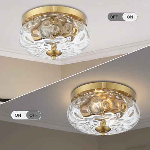Darkaway Ceiling Light Fixtures Flush Mount Indoor Outdoor Ceiling Light with Water Ripple Glass Shade for Hallway Kitchen Bedroom Porch Living Room Gold Finish