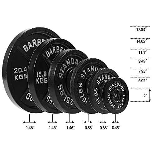 Fitvids Cast Iron Plate Weight Plate for Strength Training and Weightlifting, 2-Inch Center (Olympic), 25LB (Set of 2)