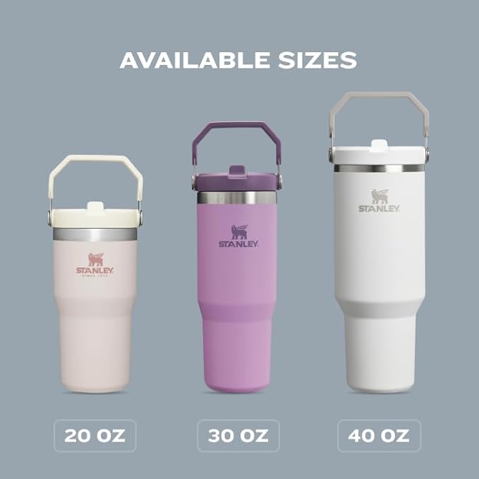 Stanley IceFlow Flip Straw Tumbler with Handle 20 oz | Twist On Lid and Flip Up Straw | Leak Resistant Water Bottle | Insulated Stainless Steel |BPA-Free | Tigerlily