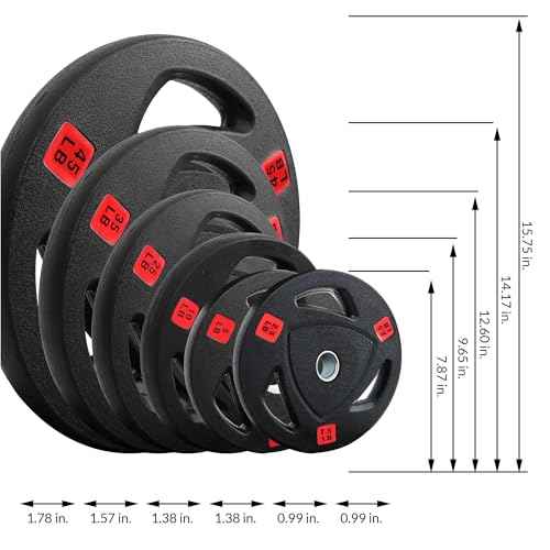 Fitvids standard Cast Iron 1-inch Weight Plate for Strength Training & Weightlifting, Rubber Coate Style, 45lbs, Pair