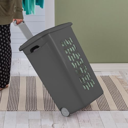 Sterilite 3-Pack Ultra Wheeled Hamper, Plastic Rolling Laundry Basket, Flat Gray - Portable Clothes Carrier with Flip-Top Lid and Retractable Handle for Home, Apartment, and Dorm - color: Flat Gray