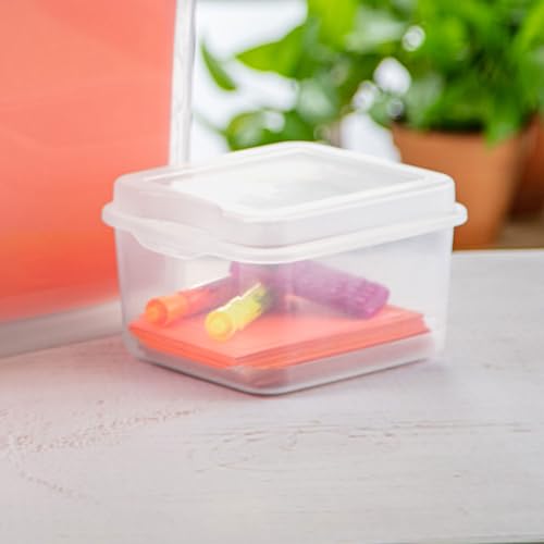 Sterilite 18038612 Small Flip Top Storage Box (24) - size: 1.5 Cubic Feet, style: 24 Pack